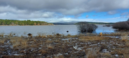 El pantano de la Cuerda del Pozo este domingo.