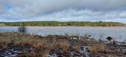 El pantano de la Cuerda del Pozo este domingo.