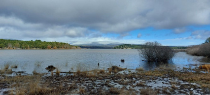 El pantano de la Cuerda del Pozo este domingo.