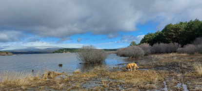 El pantano de la Cuerda del Pozo este domingo.