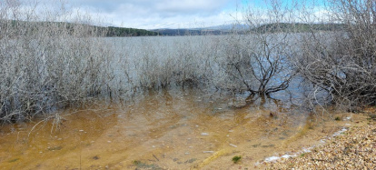 El pantano de la Cuerda del Pozo este domingo.
