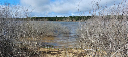 El pantano de la Cuerda del Pozo este domingo.