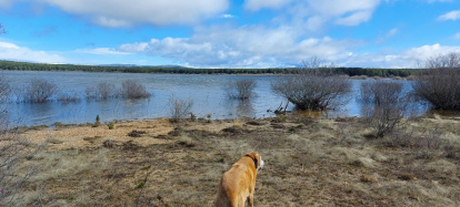 El pantano de la Cuerda del Pozo este domingo.