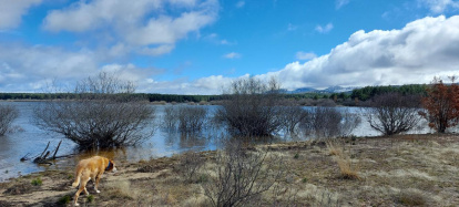 El pantano de la Cuerda del Pozo este domingo.