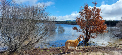 El pantano de la Cuerda del Pozo este domingo.