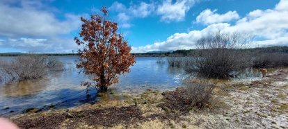 El pantano de la Cuerda del Pozo este domingo.