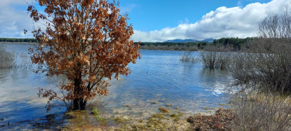 El pantano de la Cuerda del Pozo este domingo.