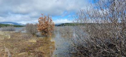 El pantano de la Cuerda del Pozo este domingo.