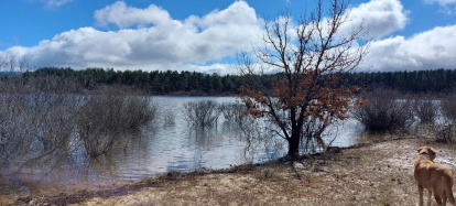 El pantano de la Cuerda del Pozo este domingo.