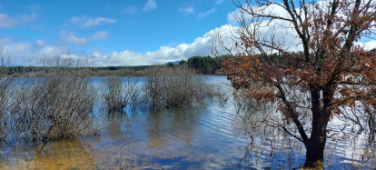 El pantano de la Cuerda del Pozo este domingo.