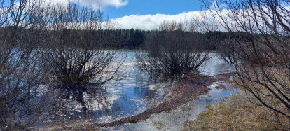 El pantano de la Cuerda del Pozo este domingo.