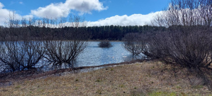El pantano de la Cuerda del Pozo este domingo.