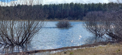 El pantano de la Cuerda del Pozo este domingo.