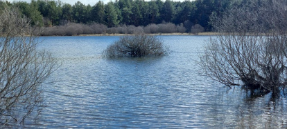 El pantano de la Cuerda del Pozo este domingo.
