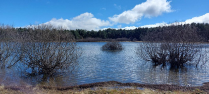 El pantano de la Cuerda del Pozo este domingo.