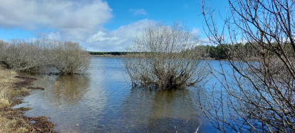 El pantano de la Cuerda del Pozo este domingo.