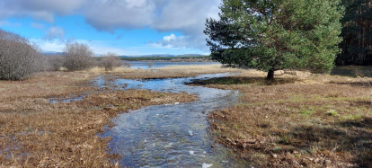 El pantano de la Cuerda del Pozo este domingo.