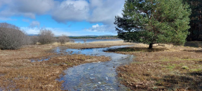 El pantano de la Cuerda del Pozo este domingo.