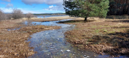 El pantano de la Cuerda del Pozo este domingo.
