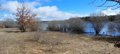 El pantano de la Cuerda del Pozo este domingo.