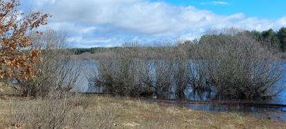 El pantano de la Cuerda del Pozo este domingo.