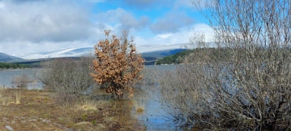 El pantano de la Cuerda del Pozo este domingo.