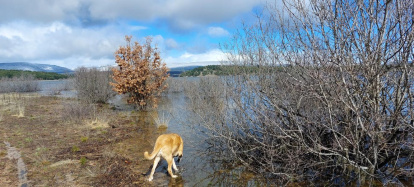 El pantano de la Cuerda del Pozo este domingo.