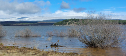 El pantano de la Cuerda del Pozo este domingo.