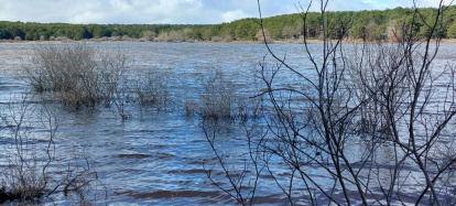 El pantano de la Cuerda del Pozo este domingo.