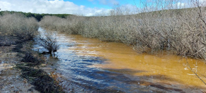 El pantano de la Cuerda del Pozo este domingo.