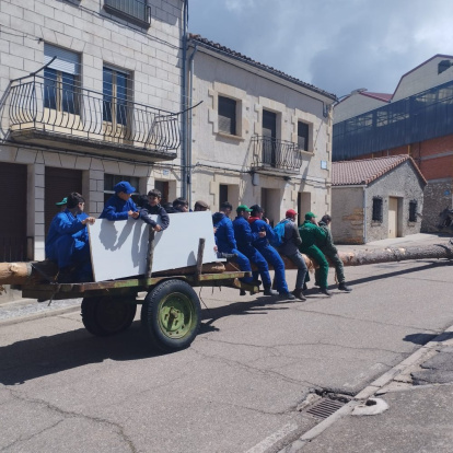 El pino se alzó ayudados con maquinaria