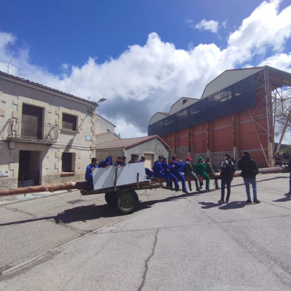 El pino se alzó ayudados con maquinaria