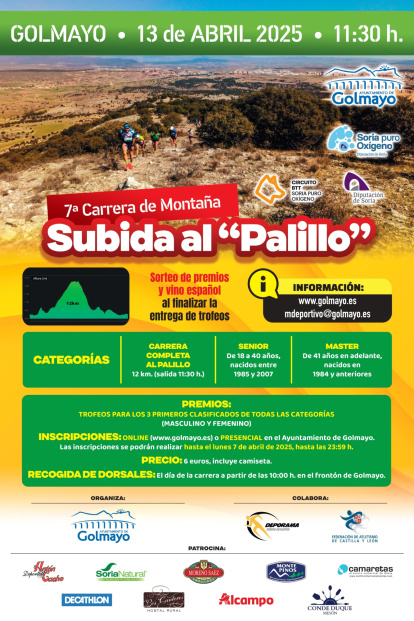 Cartel de la VII Subida al Palillo.