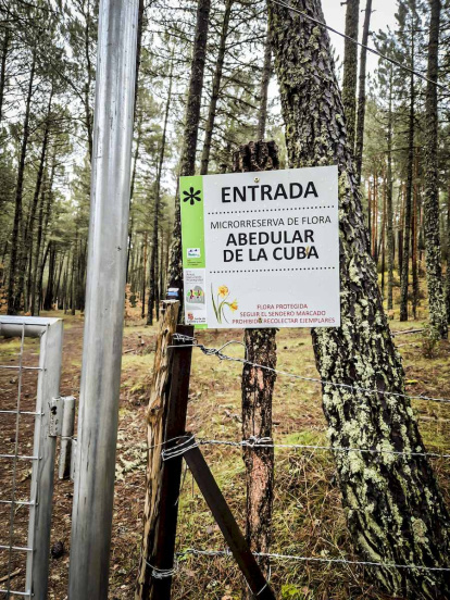 Un recorrido espectacular en estas épocas