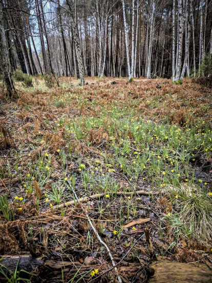 Un recorrido espectacular en estas épocas