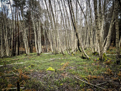 Un recorrido espectacular en estas épocas