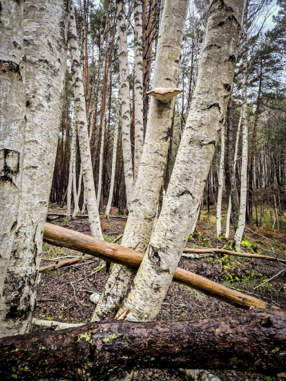 Un recorrido espectacular en estas épocas