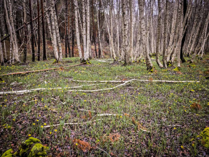 Un recorrido espectacular en estas épocas