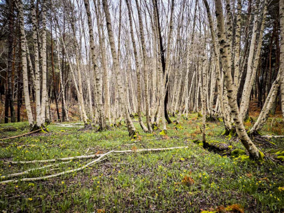 Un recorrido espectacular en estas épocas