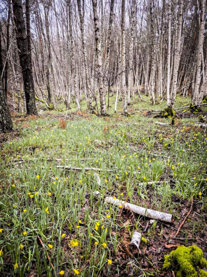 Un recorrido espectacular en estas épocas