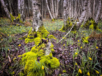 Un recorrido espectacular en estas épocas
