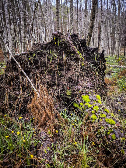 Un recorrido espectacular en estas épocas