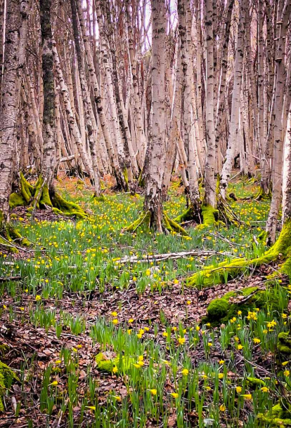 Un recorrido espectacular en estas épocas