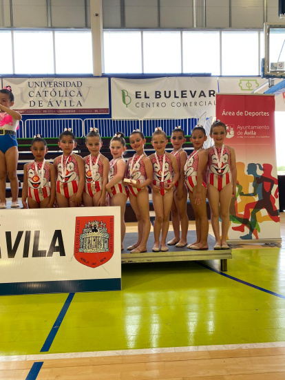 El Club Gimnasia Duero logró 10 podios en la cita regional.