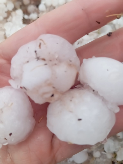 Las bolas de granizo alcanzaron un gran tamaño.