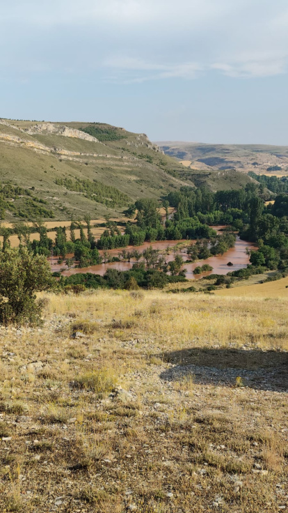 El río Caracena, desbordado.
