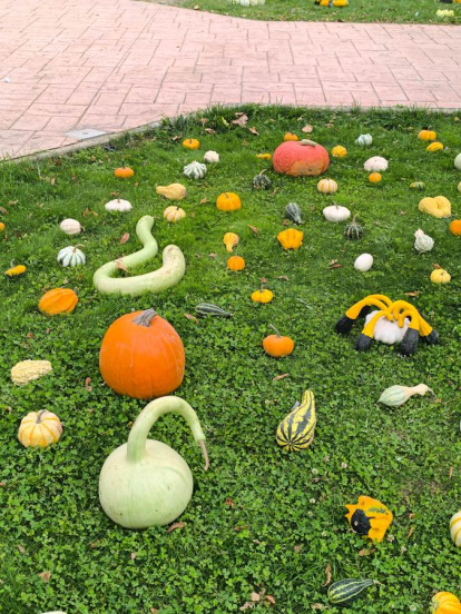 Un clásico en el otoño Sanestebeño