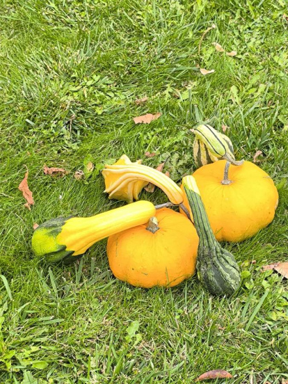 Un clásico en el otoño Sanestebeño