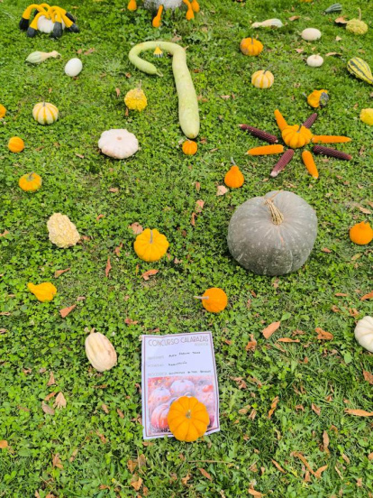 Un clásico en el otoño Sanestebeño