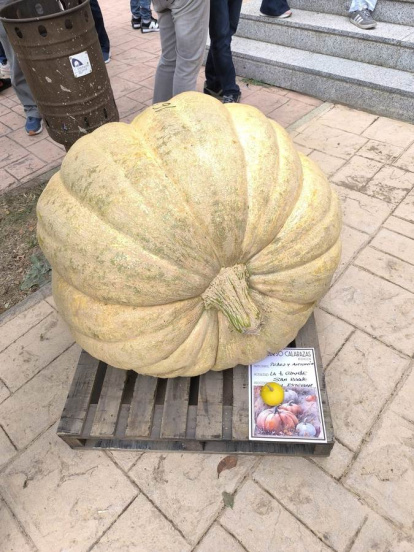 Un clásico en el otoño Sanestebeño